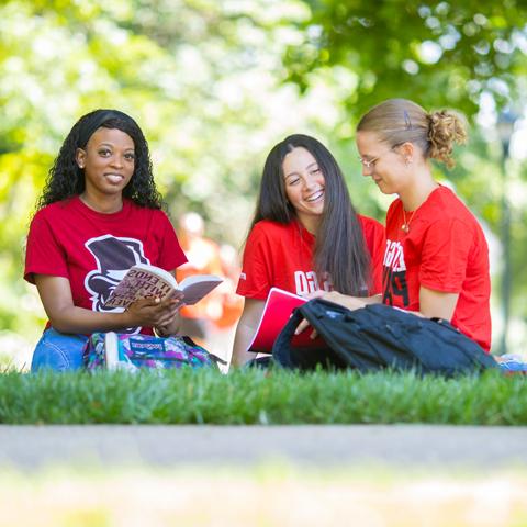 Students on the lawn studying